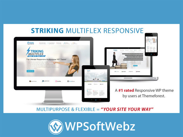 Striking - MultiFlex & Ecommerce Responsive WP Theme